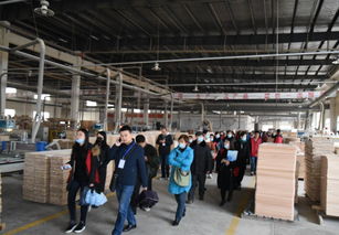 合作共赢 光明家具南京工厂携手轩辕装饰专属订购会圆满成功