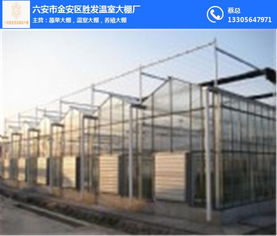 胜发温室大棚厂 六安温室大棚的专业之选与装饰解决方案