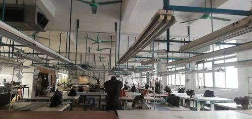 马安与六安装饰产业 中工招商网助力区域经济发展